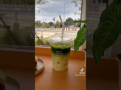 มัทฉะลาเต้Matchalatte,Cafei