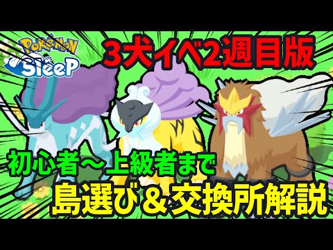 イベント2週目のフィールド選びやおとしものの総数から考えるアイテム交換の仕方についてポケスリ廃人が徹底解説します