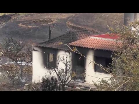 El incendio de La Palma ha dejado calcinadas numerosas viviendas