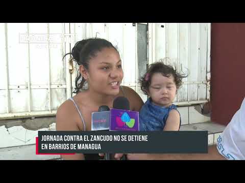 Jornada contra el zancudo no se detiene en barrios de Managua - Nicaragua