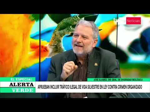 Alerta Verde | José Álvarez, director general de diversidad biológica del Minam