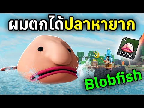 ผมตกได้ปลาหายากBlobfish|Rob