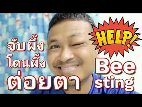 โดนผึ้งต่อยตา|Beestingthe