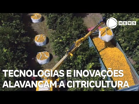 Tecnologias e inovações alavancam citricultura