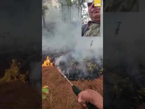 ¡Buen hondureño apaga fuego en los bosques de Olancho!