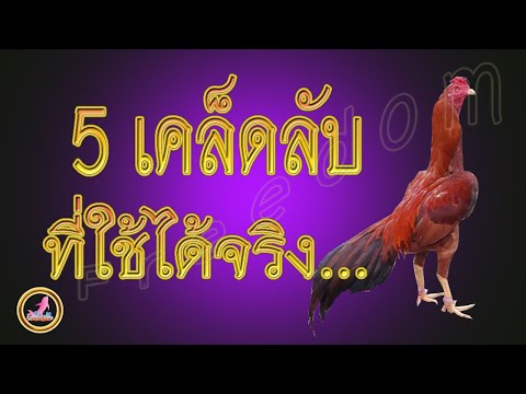 5.เคล็ดลับการเลี้ยงที่เกิดจากป