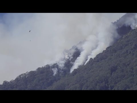 Guatemala tries to tame forest fires
