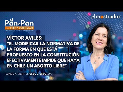 Victor Avilés sobre la propuesta constitucional en Al Pan Pan con Mirna Schindler