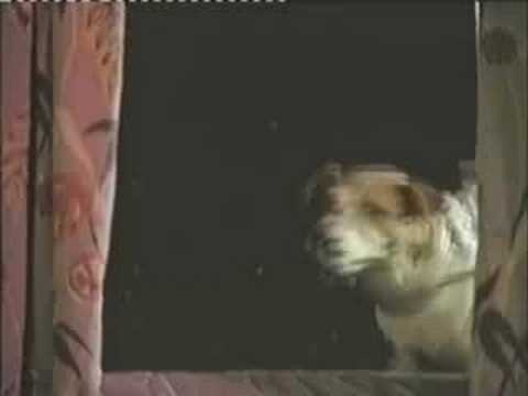 Chris Rea "I Don't Know What It Is But I Love It"