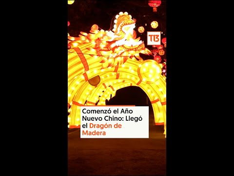 Comenzó el Año Nuevo Chino: Llegó el Dragón de Madera