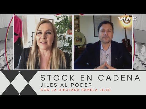 ¿Conoces a la nueva Ministra de la Mujer Pamela Jiles la analiza en #JilesAlPoder cap6