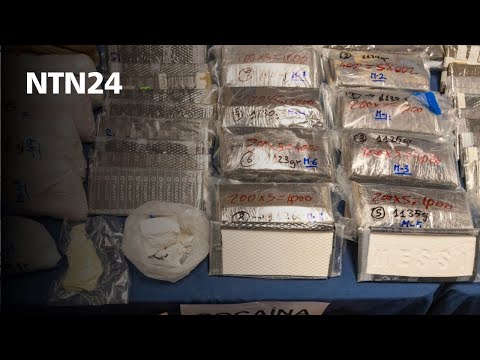 Colombia y Bolivia alcanzaron cifras récord en incautaciones de cocaína: investigadora