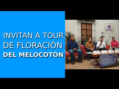 Invitan a Tour de Floración del Melocotón en el 2024