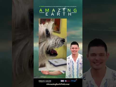 Thank you for joining our #AmazingEarthPetLover campaign! #shorts | Amazing Earth