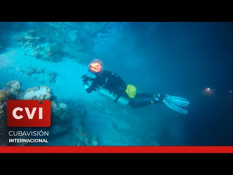 Cuba - Promueven buceo en los fabulosos fondos marinos de Cuba