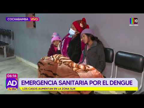 Emergencia sanitaria por el dengue en Cochabamba