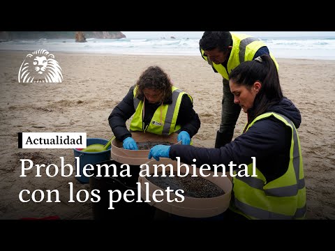 El PSOE pide a Rueda elevar la alerta para evitar el problema gravísimo de los Pellets en Galicia