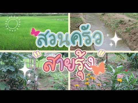 TTDSR|เดินชมสวนเล็กๆของเทพ