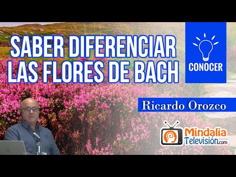 Saber diferenciar las Flores de Bach, por Ricardo Orozco