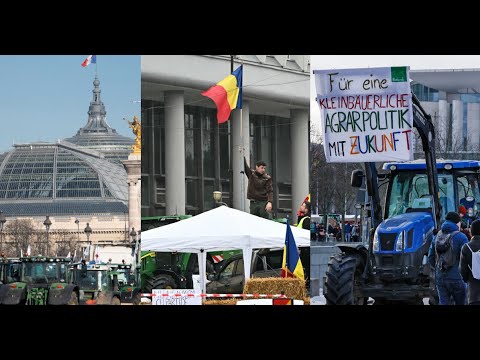 En Europe, la colère des agriculteurs monte contre la politique de Bruxelles
