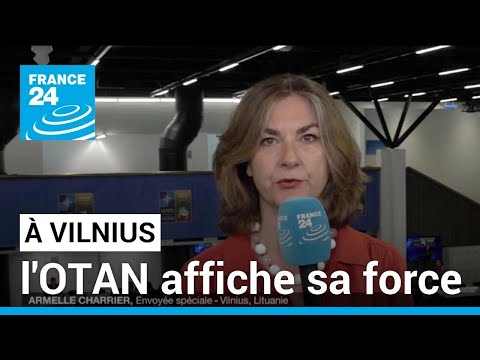L'OTAN affiche sa force à Vilnius : réunion 500 jours après le début de l'invasion russe