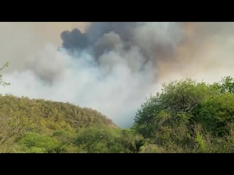 Urge recurso para enfrentar los incendios forestales, señaló la diputada Montes Colunga.