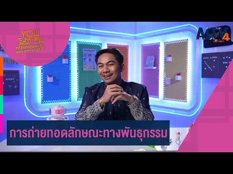 การถ่ายทอดลักษณะทางพันธุกรรม|