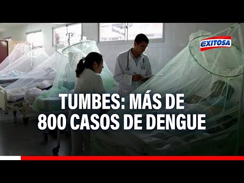 Tumbes se encuentra en alerta tras superar los 800 casos de dengue