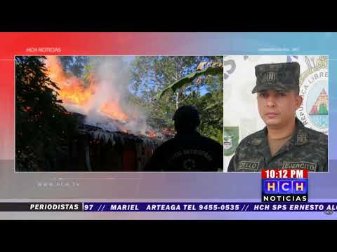 Fuerzas Armadas incautan tres manzanas de plantación de Cocaína en Iriona, Colón