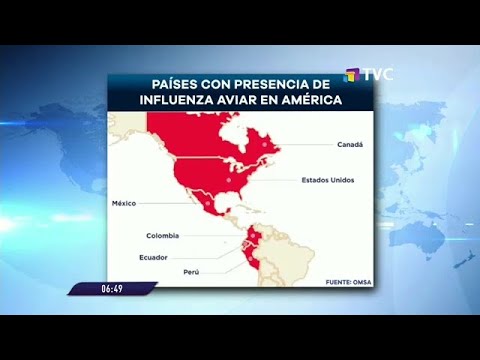 Dos nuevos casos de gripe aviar en Cotopaxi y Bolívar