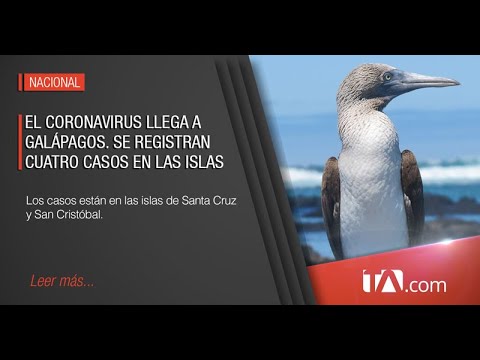 Las Islas Galápagos registran cuatro casos positivos de Covid- 19 - Teleamazonas