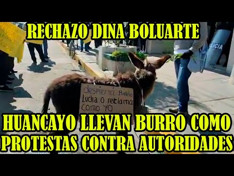 LLEVAN BURRO LOS CONDUCTORES Y INTEGRANTES DEL COMANDO UNITARIO DE LUCHA PROTESTAS EN HUANCAYO..