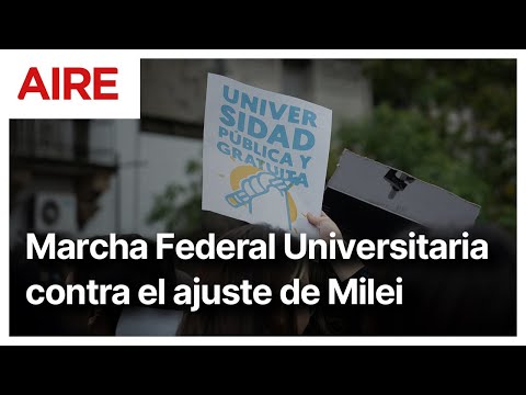 Una radiografía de la realidad universitaria: Mi salario hoy es menor a los 100 dólares