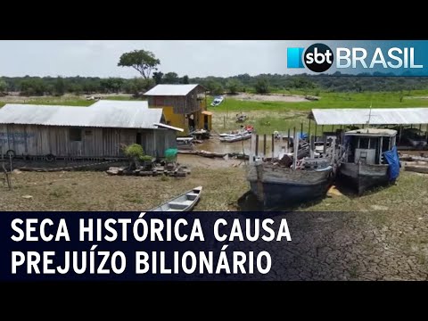 Seca histórica no amazonas impacta polo industrial de Manaus | SBT Brasil (20/01/24)