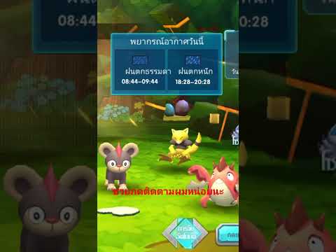 pokesagaประกรอากาศวันที91267