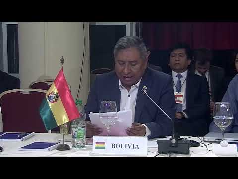 Palabras del ministro de Relaciones Exteriores de Bolivia, Rogelio Mayta Mayta.