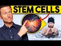 7 Ways to Stimulate Your Stem Cells.240p