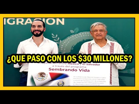 Desarrollo del Plan Sembrando Vida de la donación de México a El Salvador