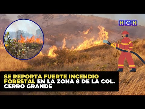 Se reporta fuerte incendio forestal en la zona 8 de la col. Cerro Grande