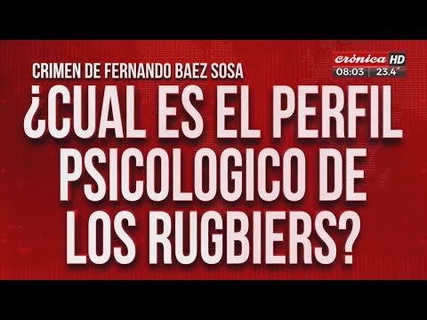 Crimen de Fernando: ¿cuál es el perfil psicológico de los rugbiers?