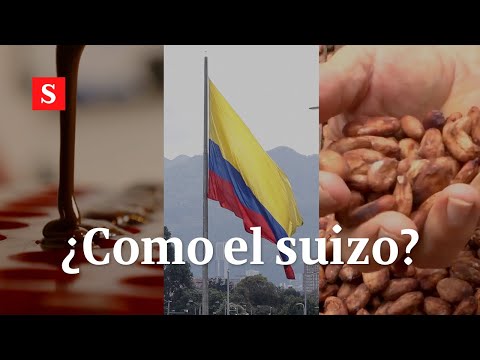 Los planes de Colombia para tener un 'Juan Valdez' del cacao I Videos Semana