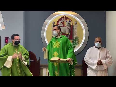 Santa Misa Vespertina Domingo 7ma Semana del Tiempo Ordinario 19/febrero/2022