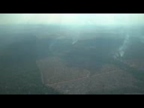 Aumentan los incendios en la Amazonia brasileña en medio de la creciente deforestación