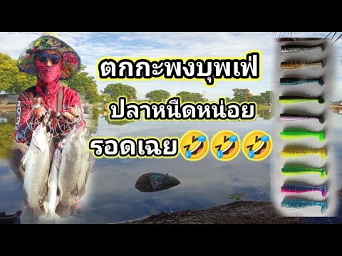 Ep226ตกกะพงบุพเฟ่วันนี้ปลาหนืด