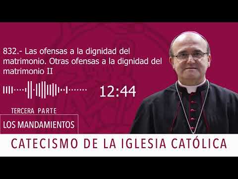 Catecismo 2390-91.Las ofensas a la dignidad del matrimonio.Otras ofensas a la dignidad delmatrimonio