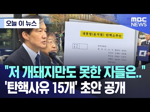 [오늘 이 뉴스] "저 개돼지만도 못한 자들은..", '탄핵사유 15개' 초안 공개 (2024.11.20/MBC뉴스)