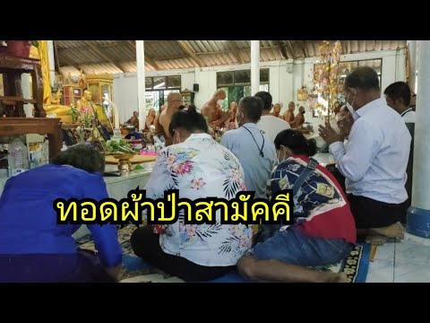 ทอดผ้าป่าสามัคคีวัดป่าธรรมวิเ