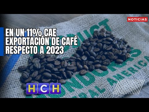En un 11% cae exportación de café respecto a 2023