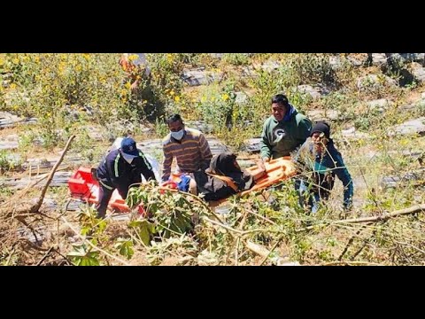 Autobus cae a barranco en ruta Interamericana