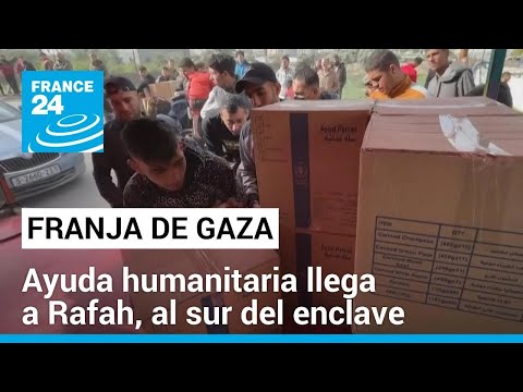 Autoridades de Gaza denuncian que no es suficiente el ingreso de ayuda humanitaria • FRANCE 24